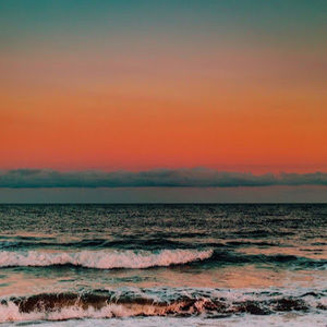 Meet your Posher, Felicity